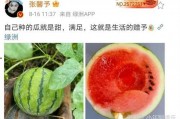娱乐圈吃瓜料